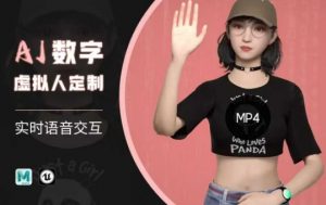 Ai数字人虚拟(智能体)实时语音交互特训营，​自行定制超写实角色AI数字人交互技术-网创小站