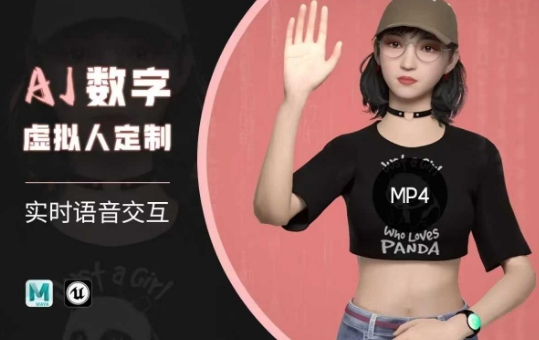 Ai数字人虚拟(智能体)实时语音交互特训营，​自行定制超写实角色AI数字人交互技术-网创小站