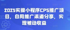 2025实操小程序CPS推广项目，自用推广渠道分享，实现被动收益-网创小站