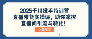 2025千川投手特训营：直播带货实操课，助你掌控直播间引流与转化！-网创小站