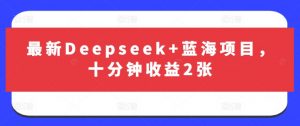 最新Deepseek+蓝海项目，十分钟收益2张-网创小站