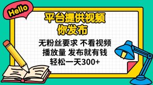 平台提供视频 你发布 无粉丝要求 不看视频播放量 发布就有钱 轻松一天300+-网创小站