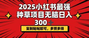 2025小红书最强种草项目，无脑日入300+，复制粘帖即可，多劳多得-网创小站