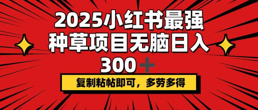 2025小红书最强种草项目，无脑日入300+，复制粘帖即可，多劳多得-网创小站