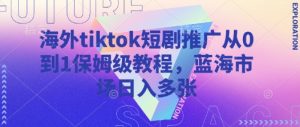 海外tiktok短剧推广从0到1保姆级教程，蓝海市场日入多张-网创小站