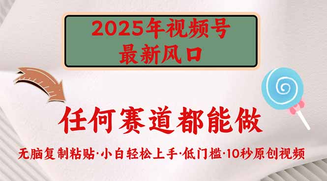 2025年视频号新风口，低门槛只需要无脑执行-网创小站