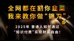 全网都在割你韭菜，我来教你做镰刀,2025普通人如何通过知识付费，实现财F自由【揭秘】-网创小站