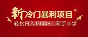 项目名称：每天一小时，轻松到手1000，冷门赚钱项目！-网创小站