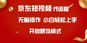 京东短视频代运营，全程喂饭，小白轻松上手【揭秘】-网创小站