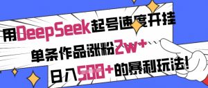 用DeepSeek起号速度开挂，单条作品涨粉2w+，日入5张+的暴利玩法-网创小站
