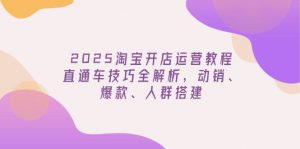 2025淘宝开店运营教程更新，直通车技巧全解析，动销、爆款、人群搭建-网创小站