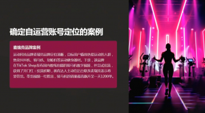 老吴·TikTok跨境电商新手起号与运营全攻略-网创小站