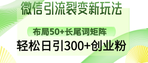 微信引流裂变新玩法：布局50+长尾词矩阵，轻松日引300+创业粉-网创小站