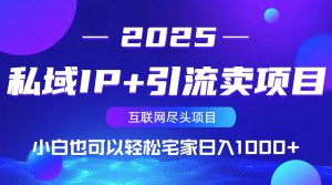 私域IP+引流卖项目，小白也可以做到轻松宅家日入1000+-网创小站