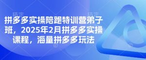 拼多多实操陪跑特训营弟子班，2025年2月拼多多实操课程，海量拼多多玩法-网创小站