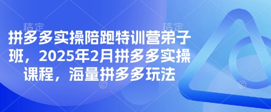 拼多多实操陪跑特训营弟子班,2025年2月拼多多实操课程,海量拼多多玩法-网创小站