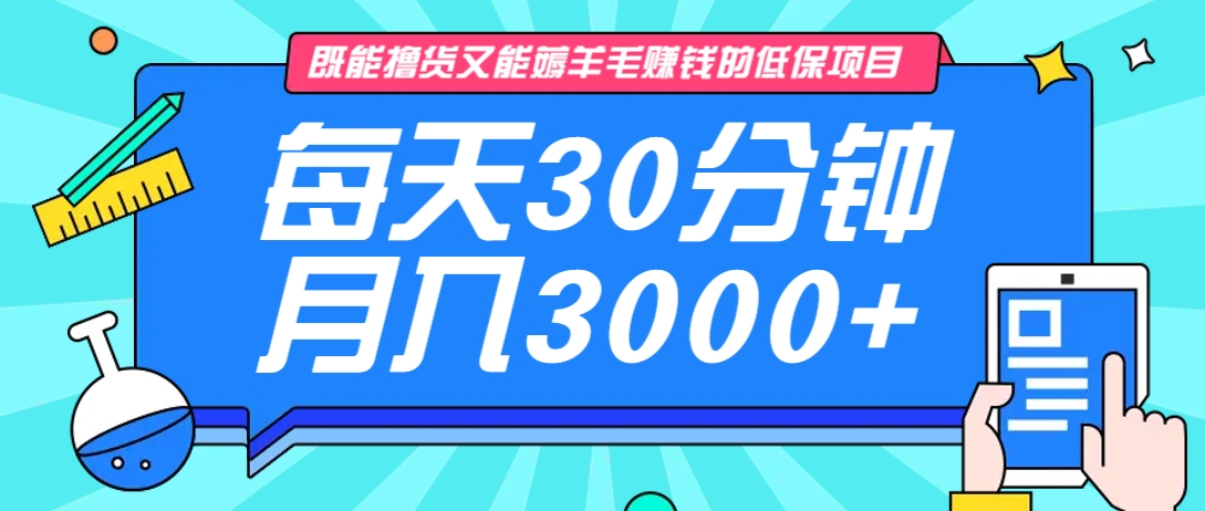 既能撸货又能赚钱的长期低保项目，每天30分钟，多号百分百稳定月入3000+！-网创小站