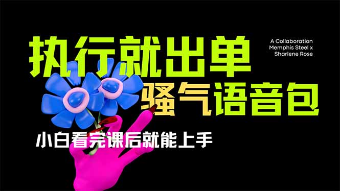 爆火全网的开车导航骚气语音包,只要执行就出单，小白看完课程就能实操…-网创小站
