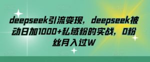 deepseek引流变现，deepseek被动日加1000+私域粉的实战，0粉丝月入过W-网创小站