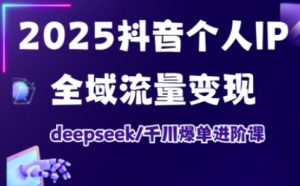 2025抖音个人IP全域流量变现进阶课，deepseek千川爆单进阶课-网创小站