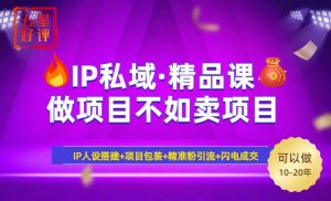 2025年“IP私域·密训精品课”，日赚3000+小白避坑年赚百万，暴力引流...-网创小站