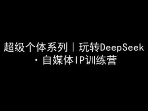 超级个体系列，玩转DeepSeek·自媒体IP训练营，deepseek教程-网创小站
