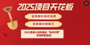 2025项目天花板普通人如何通过知识付费，实现财F自由【揭秘】-网创小站