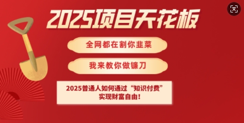 2025项目天花板普通人如何通过知识付费,实现财F自由【揭秘】-网创小站