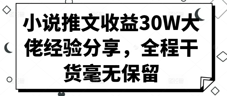 小说推文收益30W大佬经验分享，全程干货毫无保留-网创小站