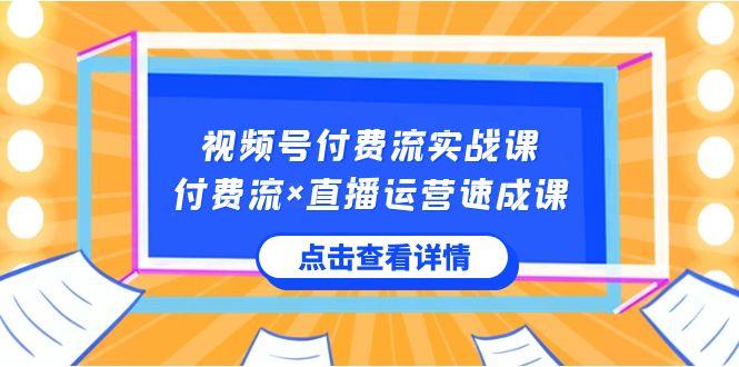 视频号付费流实战课，付费流×直播运营速成课，让你快速掌握视频号核心运营技能-网创小站