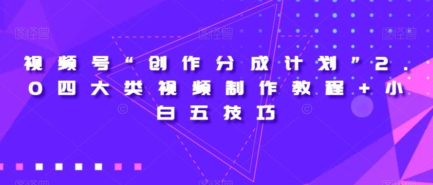 视频号“创作分成计划”2.0四大类视频制作教程+小白五技巧【揭秘】-网创小站