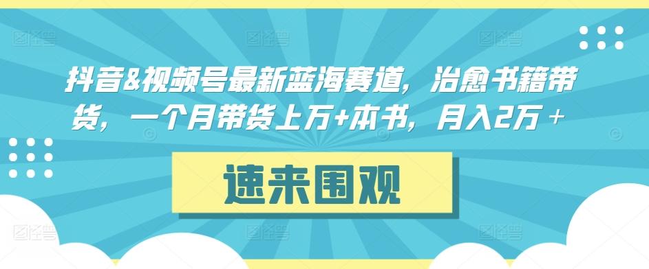 抖音&视频号最新蓝海赛道，治愈书籍带货，一个月带货上万+本书，月入2万＋【揭秘】-网创小站