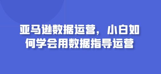 亚马逊数据运营，小白如何学会用数据指导运营-网创小站