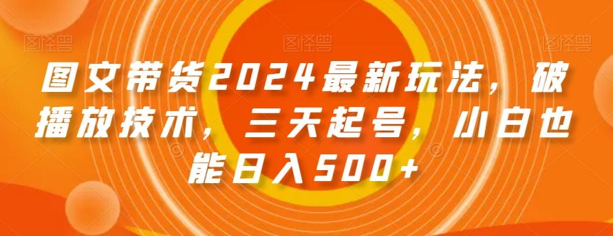 图文带货2024最新玩法，破播放技术，三天起号，小白也能日入500+【揭秘】-网创小站