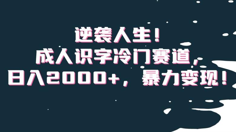 逆袭人生！成人识字冷门赛道，日入2000+，暴力变现！【揭秘】-网创小站
