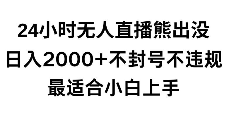 快手24小时无人直播熊出没，不封直播间，不违规，日入2000+，最适合小白上手，保姆式教学【揭秘】-网创小站