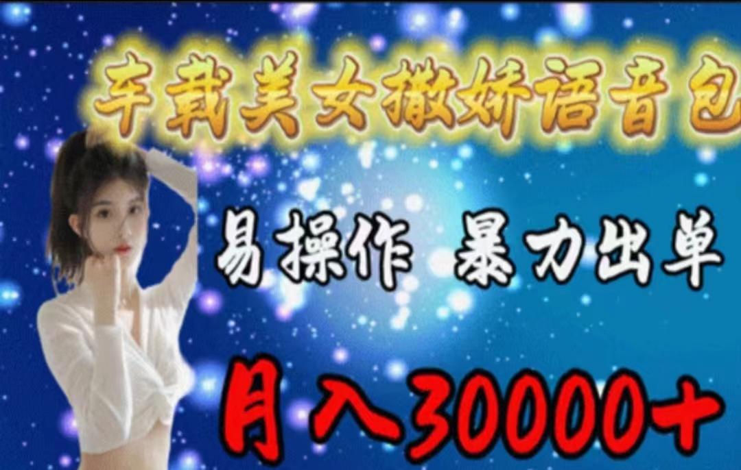 车载美女撒娇语音包，执行就出单，月入3000＋，小白看完课程就能马上实操-网创小站