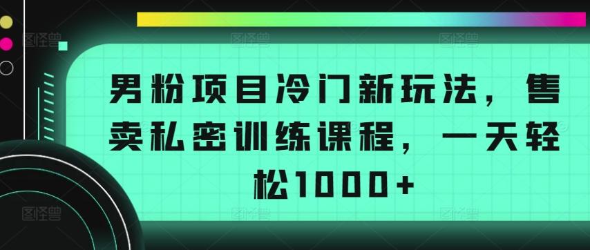 男粉项目冷门新玩法，售卖私密训练课程，一天轻松1000+【揭秘】-网创小站