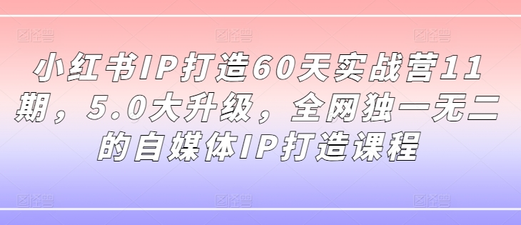 小红书IP打造60天实战营11期，5.0大升级，全网独一无二的自媒体IP打造课程-网创小站