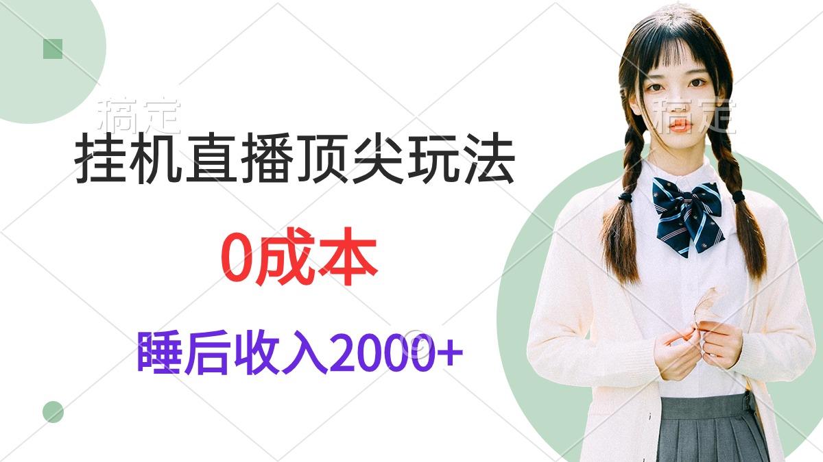 (9715期)挂机直播顶尖玩法，睡后日收入2000+、0成本，视频教学-网创小站