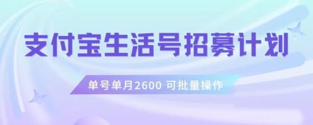 支付宝生活号作者招募计划，单号单月2600，可批量去做，工作室一人一个月轻松1w+【揭秘】-网创小站