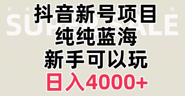 抖音蓝海赛道，必须是新账号，日入4000+【揭秘】-网创小站