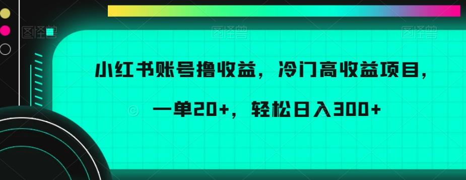 小红书账号撸收益，冷门高收益项目，一单20+，轻松日入300+【揭秘】-网创小站