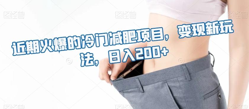 近期火爆的冷门减肥项目，变现新玩法，日入200+-网创小站