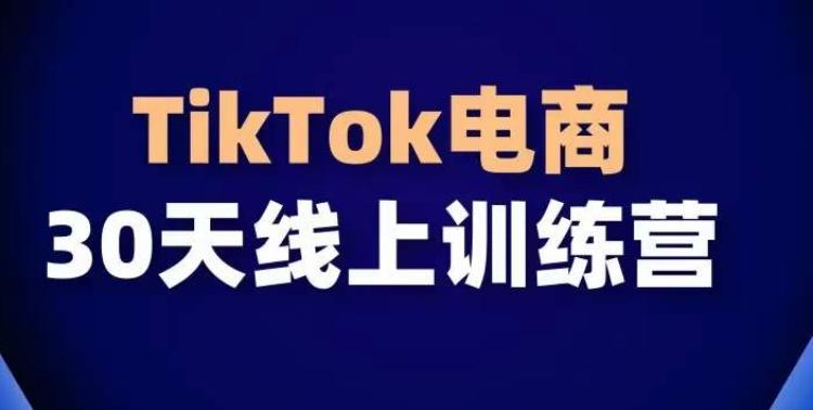 TikTok电商带货30天线上课，不可错过的全球流量洼地！-网创小站