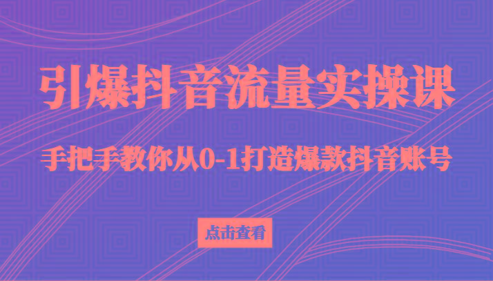 引爆抖音流量实操课，手把手教你从0-1打造爆款抖音账号(27节课)-网创小站