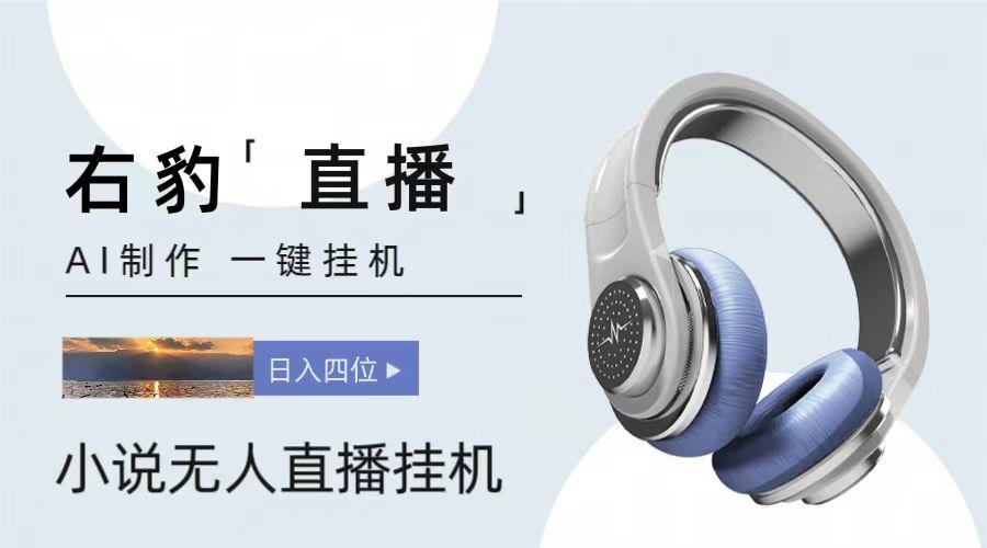 右豹小说无人直播挂机吸金项目，简单易行收益稳定， 月入1000+-网创小站