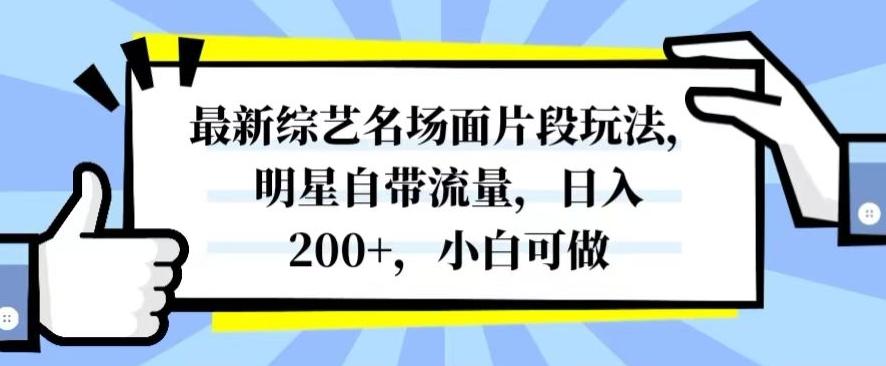 最新综艺名场面片段玩法，明星自带流量，日入200+，小白可做【揭秘】-网创小站