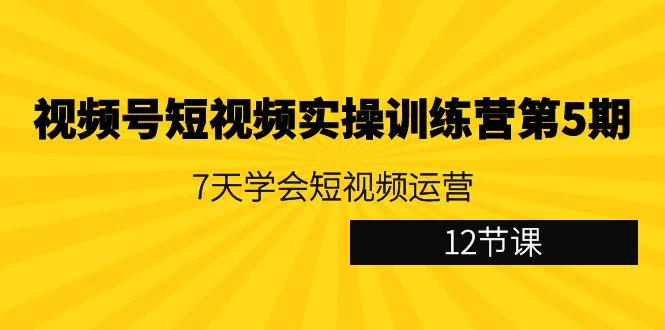 视频号短视频实操训练营第5期：7天学会短视频运营(12节课)-网创小站