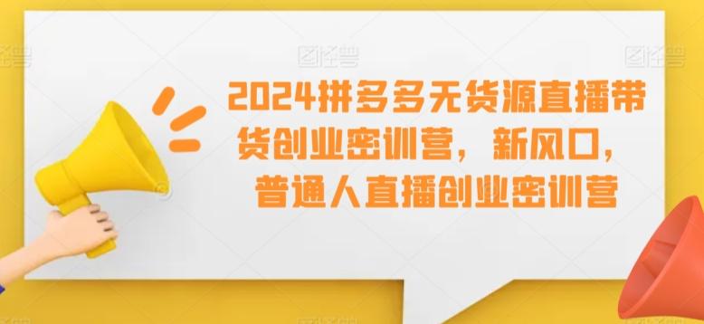 2024拼多多无货源直播带货创业密训营，新风口，普通人直播创业密训营-网创小站